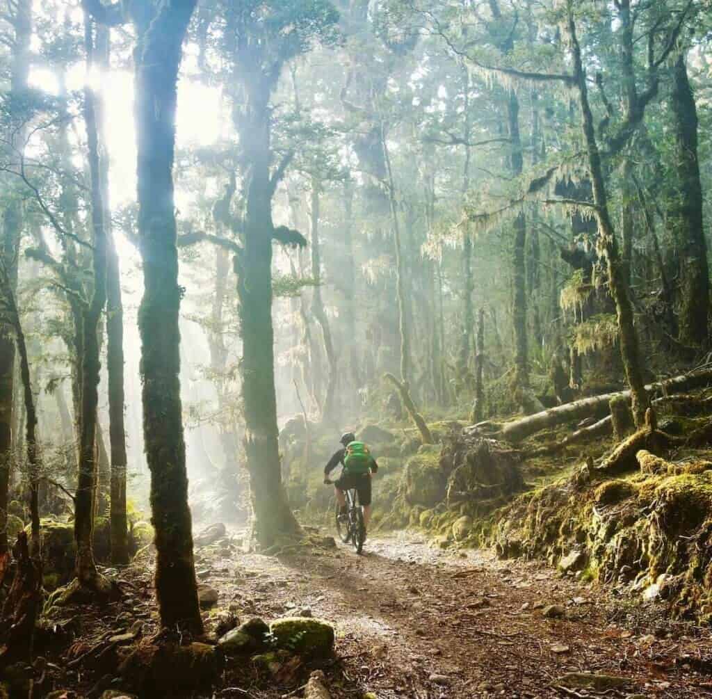 Mountain biker on Old Ghost Road bikepacking trail in New Zealand lined with mossy trees