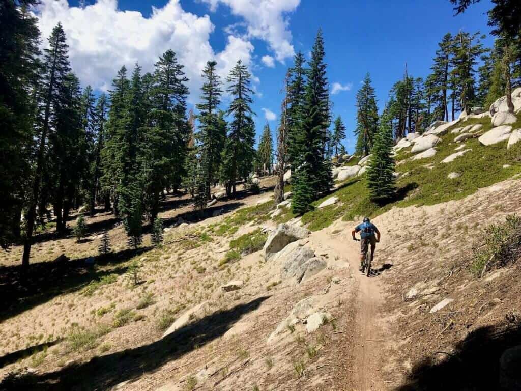 Mountain biker on singletrack Tahoe Rim Trail