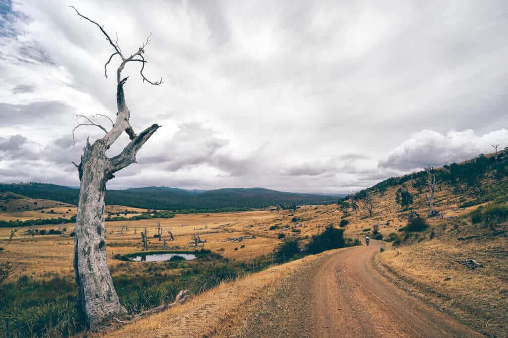 Cyclist riding down dirt road is remote area of Tasmania, Australia
