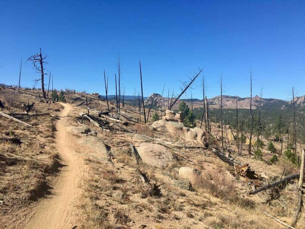 Singletrack trail through wildfire burned area at Buffalo Creek in Colorado 