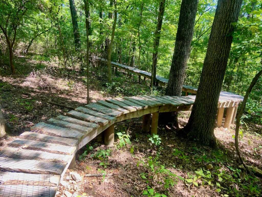 Elevated wooden ramp on mountain bike trail in Bentonville, Arkansas