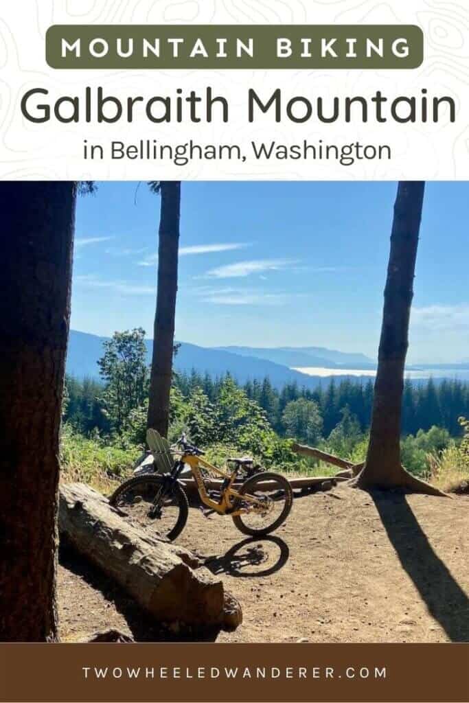Learn everything you need to know about mountain biking at Galbraith Mountain in Bellingham, Washington including the best trails and more
