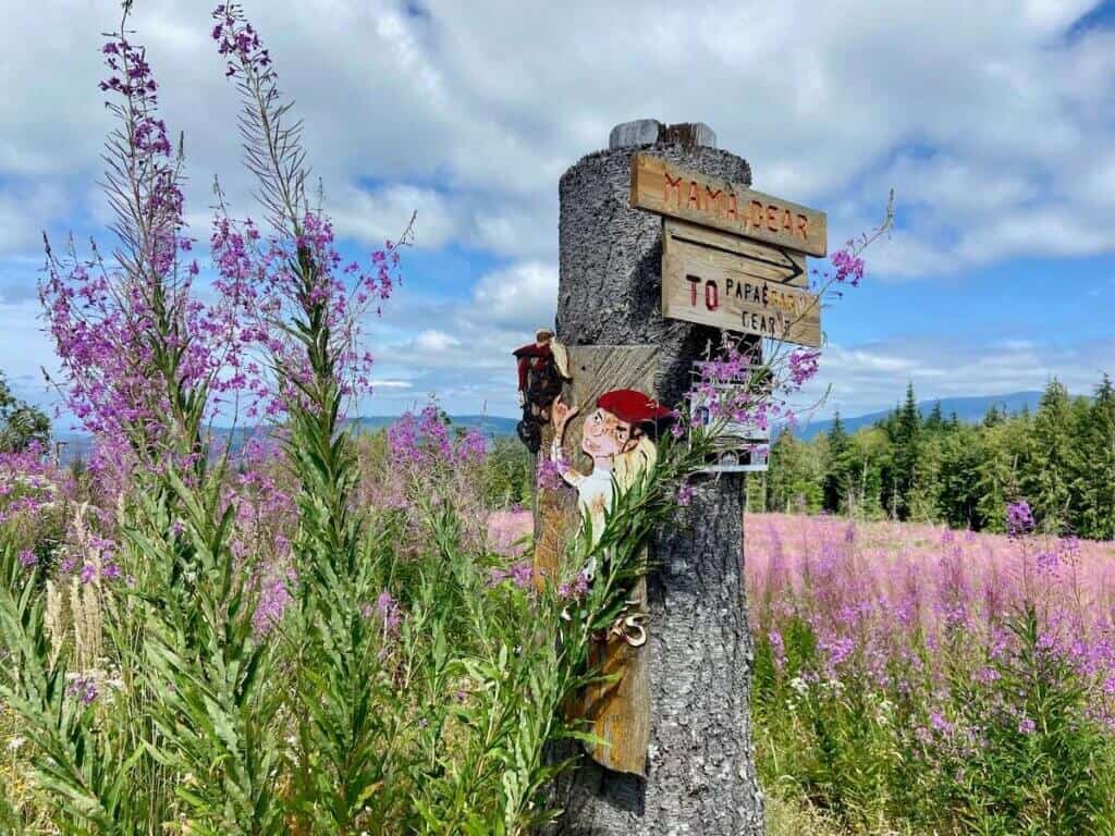 Mountain bike trail sign post in Bellingham surrounded by purple flowers