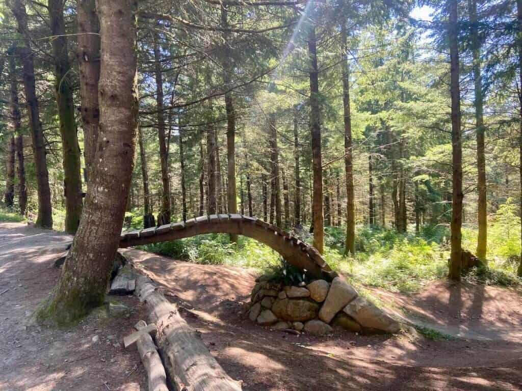 Wooden ramp entrance to mountain bike trail on Galbraith Mountain