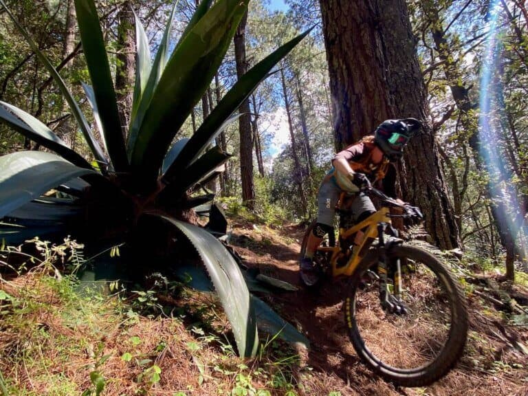 Female mountain biker wearing full face helmet riding downhill trail in Oaxaca Mexico with giant agave plant on side of trail