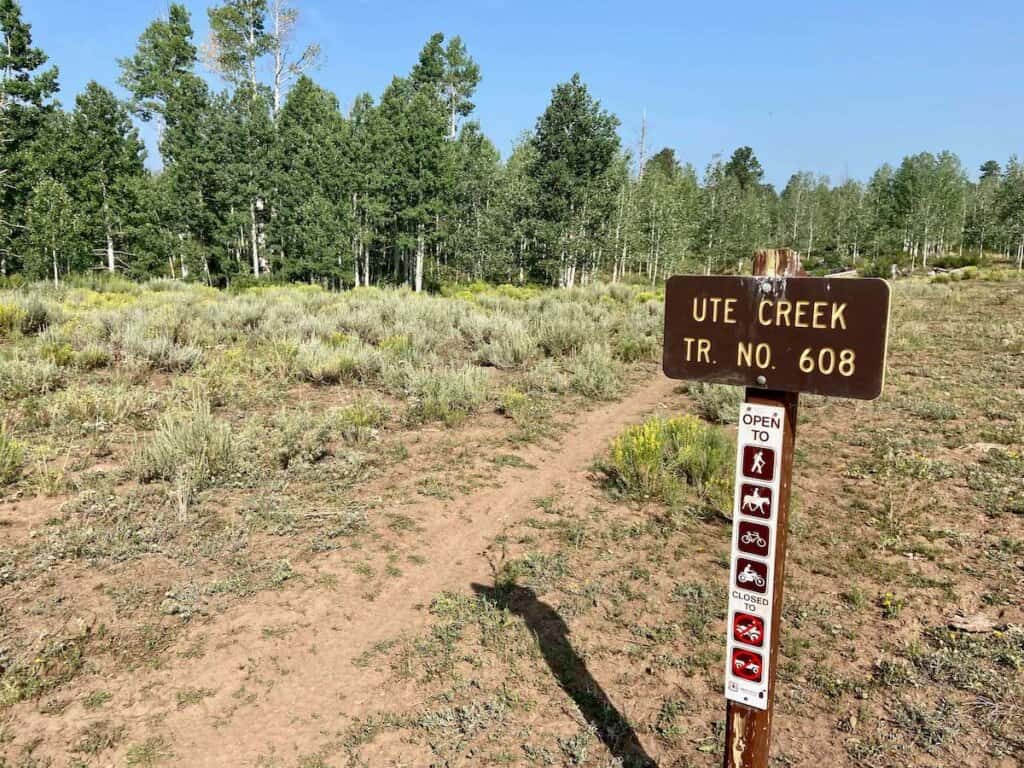 Singletrack mountain bike trail marked with sign that says "Ute Creek Tr. No 608" on the Telluride to Moab mountain bike route