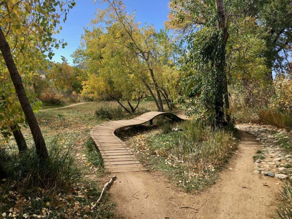 Mountain bike trail featuring a wooden bridge to the left and go around trail to the right