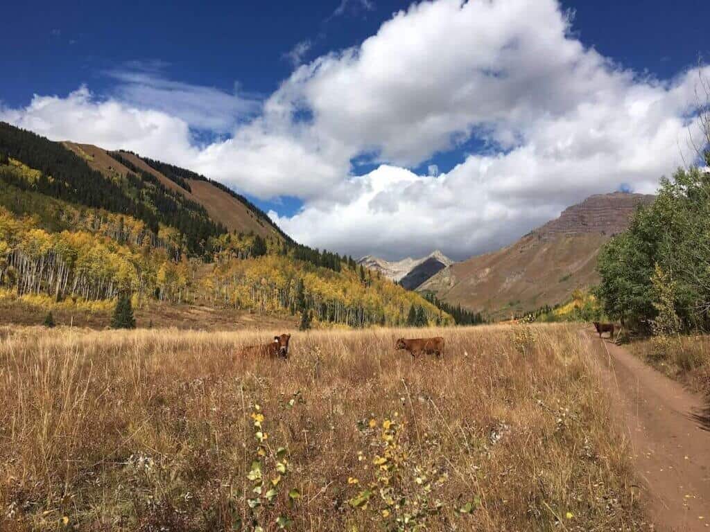 Dirt road through Colorado valley with changing aspen leaves