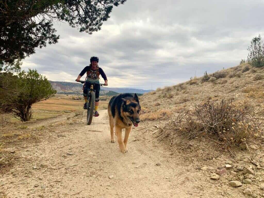 Dog trotting in front of mountain biker on trail in Colorado