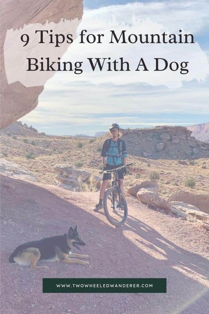 Learn everything you need to know about mountain biking with your dog including how to prepare for their first ride, what to bring, and more