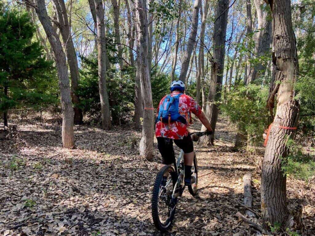 Mountain biker riding through grove of poplar trees in Switchgrass trail network in Kansas