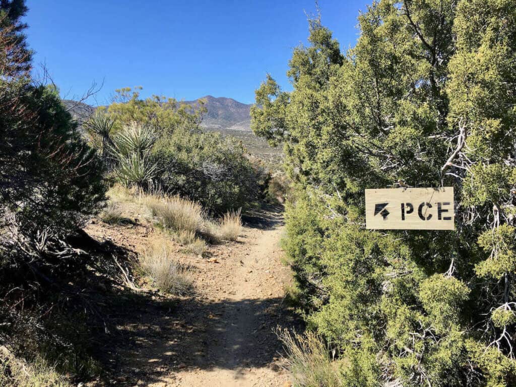Wooden sign with arrow and PCE painted on it showing the way to the Palm Canyon Epic trail in California