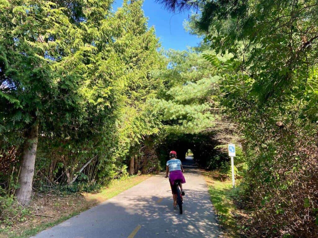 Cyclist riding bike through tunnel of trees on William C O'neill bike path in Rhode Island