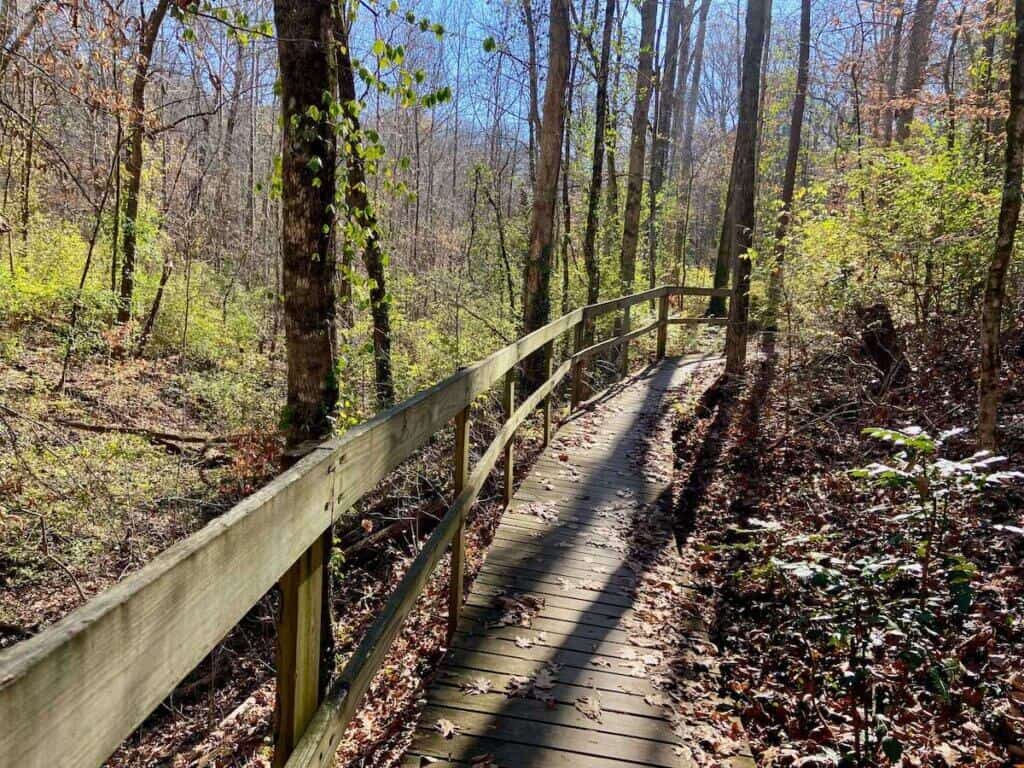 Wooden footbridge through forest in Knoxville Urban Wilderness in Tennessee