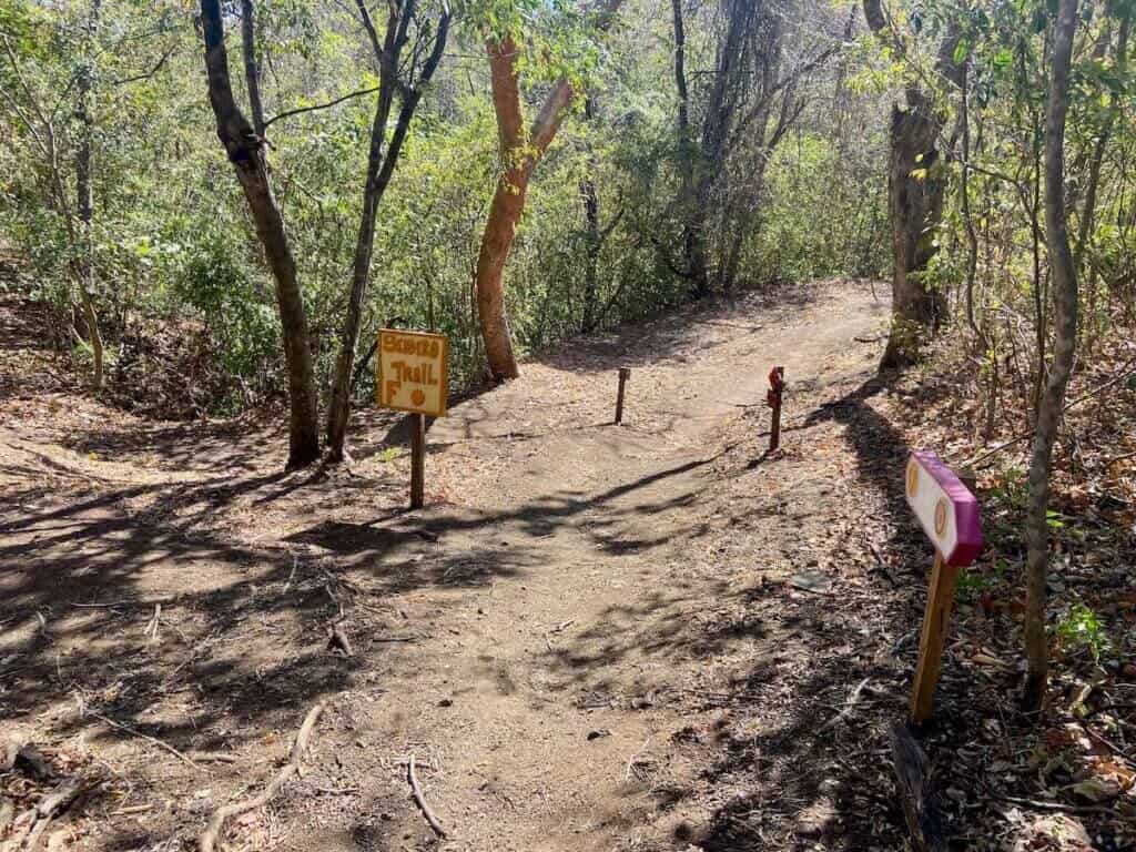 Intersection of mountain bike trails at Las Catalinas trail network in Costa Rica