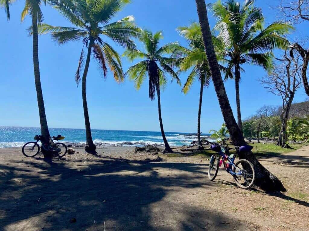 Two bikepacking bikes leaning against palm trees on beach in Costa Rica
