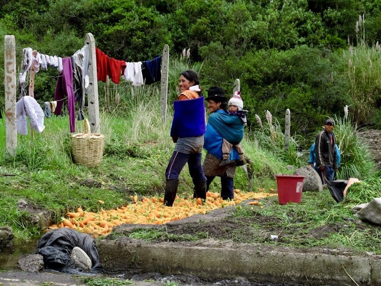Two traditional Ecuadorian women washing carrots in river with feet