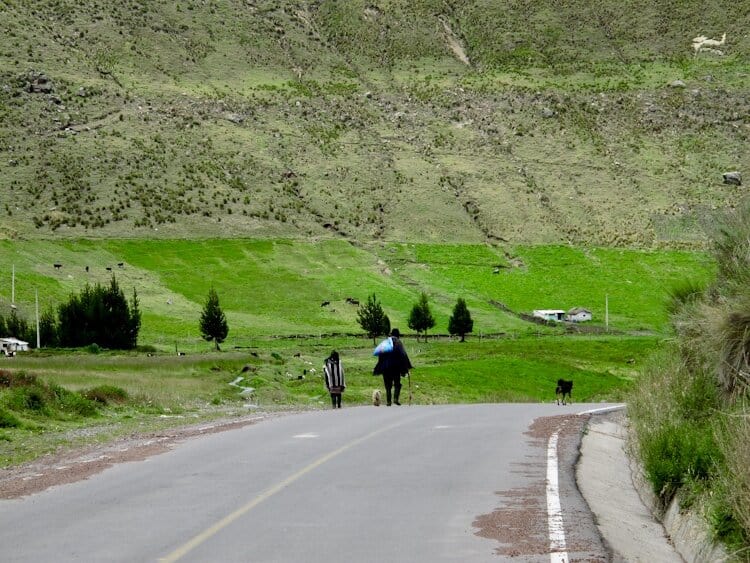 Man, child, and two dogs walking down paved road in rural area of Ecuador surrounded by lush green fields and mountains