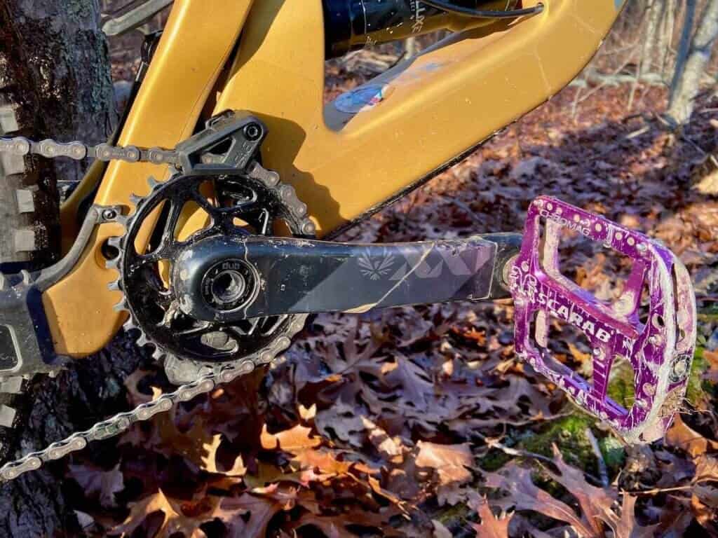 Close up of mountain bike pedal and front chainring