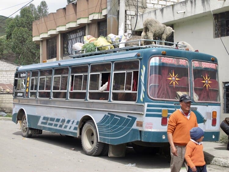 Bus in Ecuador with sheep standing on roof
