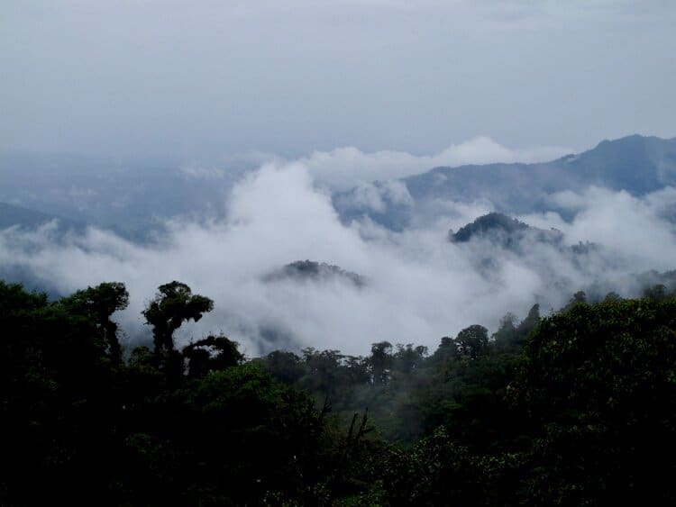 Clouds over mountains and ridges in cloud forest of Ecuador