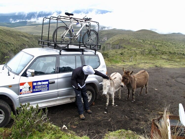 Man petting two donkeys next to car loaded with a bike on the roof in remote area of Ecuador