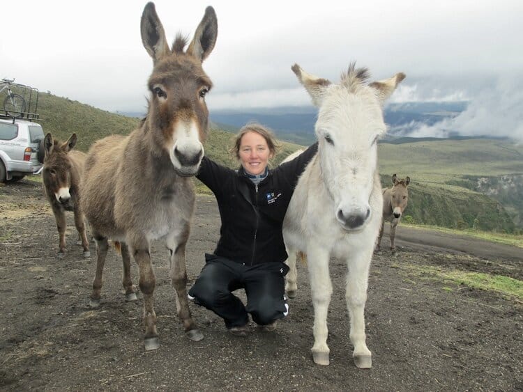 Woman kneeling between two donkeys with arms around their necks in remote area of Ecuador