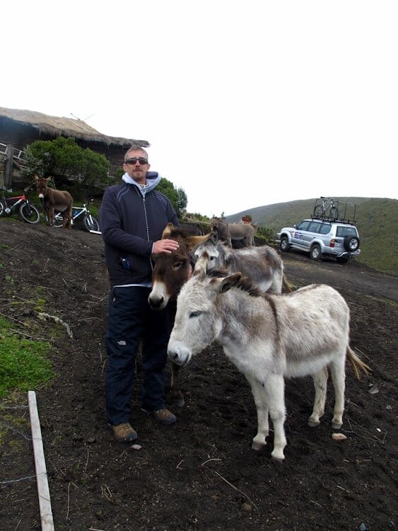 Man standing next to a group of donkeys in remote area of Ecuador