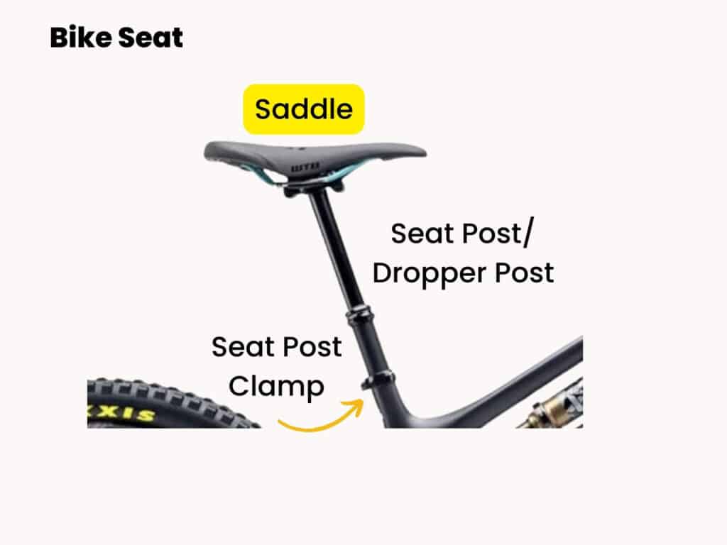 Parts of a bicycle seat labeled with saddle highlighted