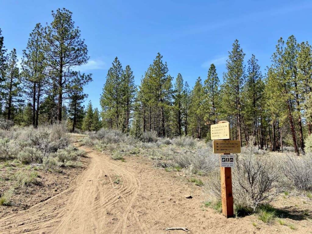 Trail signs next to sandy singletrack trail through pine forest at Horse Butte in Oregon
