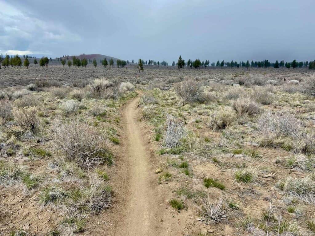 Singletrack trail through high desert sagebrush landscape at Horse Butte in Oregon with dark stormy sky overhead