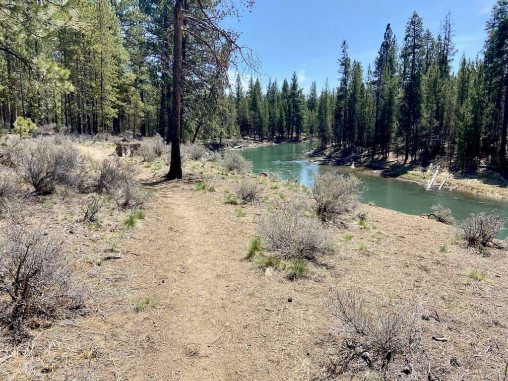 Singletrack mountain bike trail next to Deschutes River in LaPine State Park in Oregon