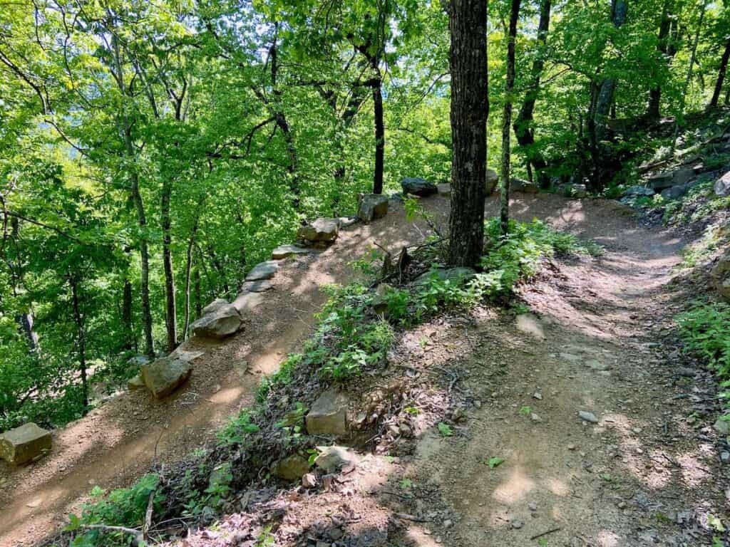 Switchbacked singletrack mountain bike trail at Mt. Nebo State Park in Arkansas