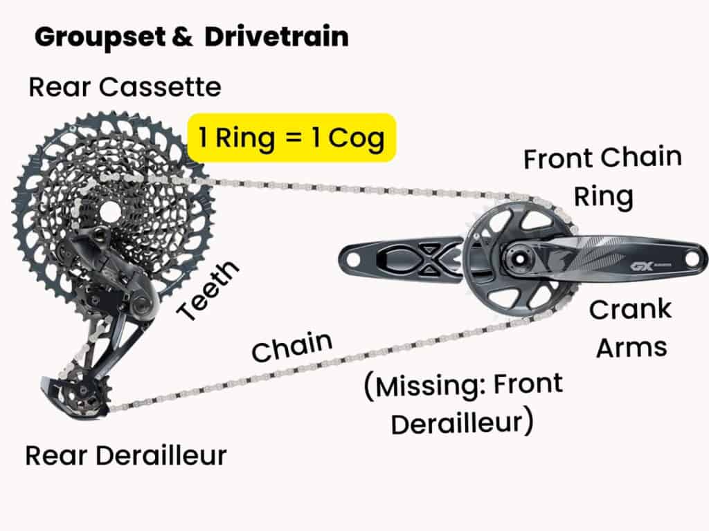 Parts of a bike drivetrain labeled with cog highlighted