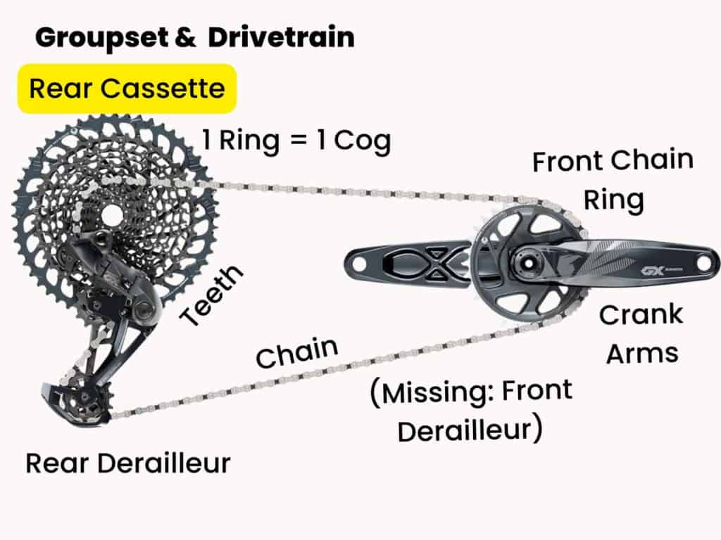 Parts of a bike drivetrain labeled with rear cassette highlighted