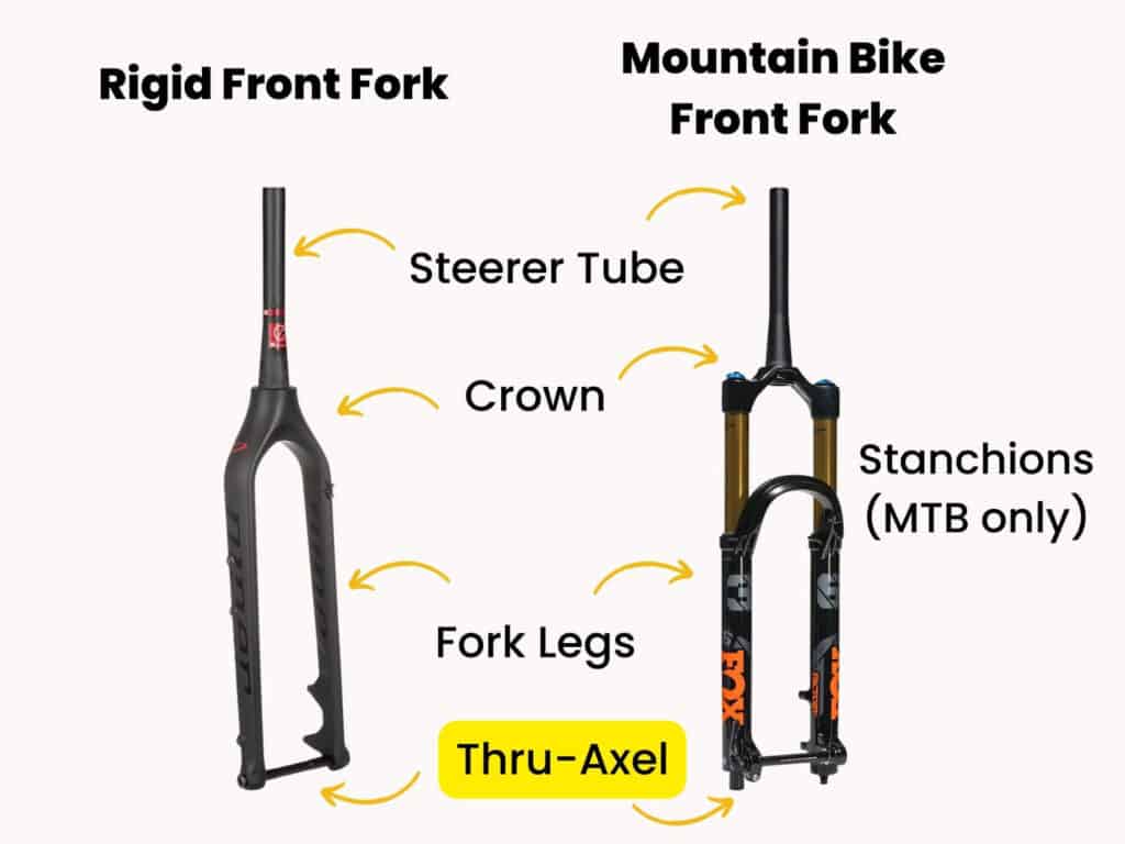 Parts of a bike fork labeled with the thru-axel highlighted