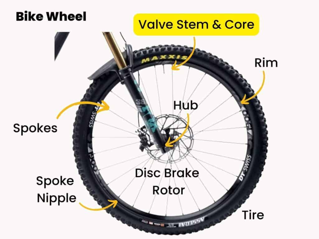 Parts of a bike wheel labeled with valve stem and valve core highlighted