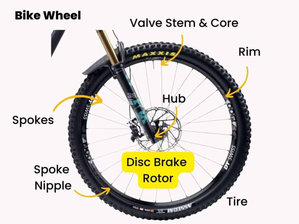 Parts of a bike wheel labeled with disc brake rotor highlighted