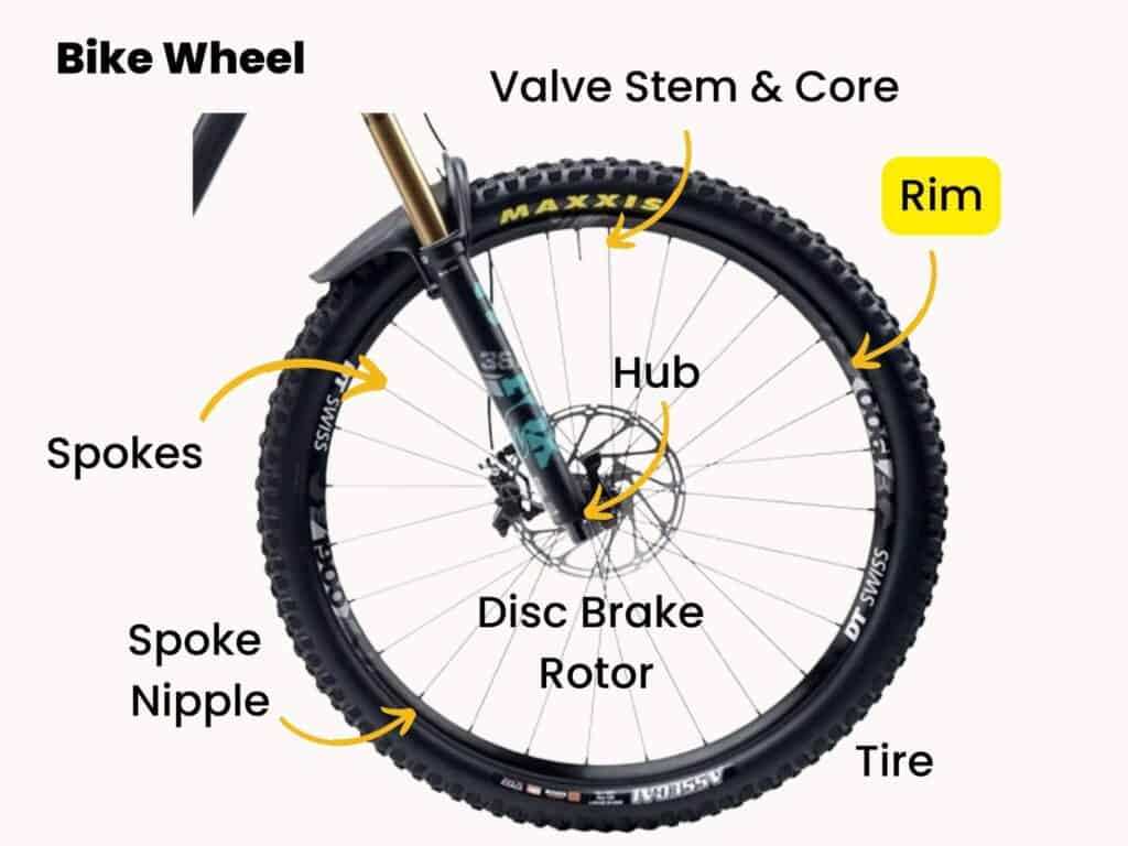 Parts of a bike wheel labeled with rim highlighted