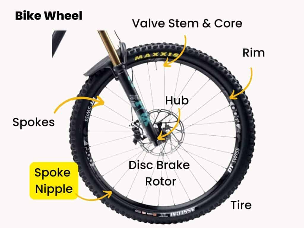 Parts of a bike wheel labeled with spoke nipple highlighted