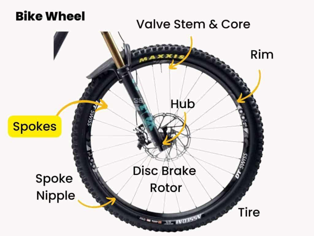 Parts of a bike wheel labeled with spokes highlighted