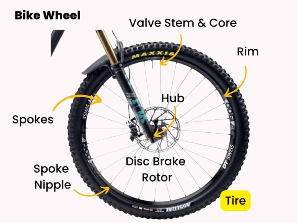 Parts of a bike wheel labeled with tire highlighted