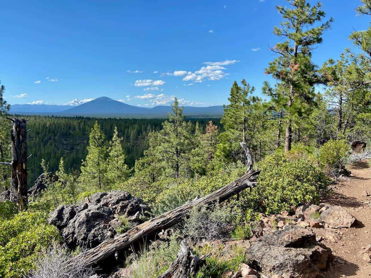 Landscape views out over Peterson Ridge forest in Oregon with cone-shaped volcano in the distance