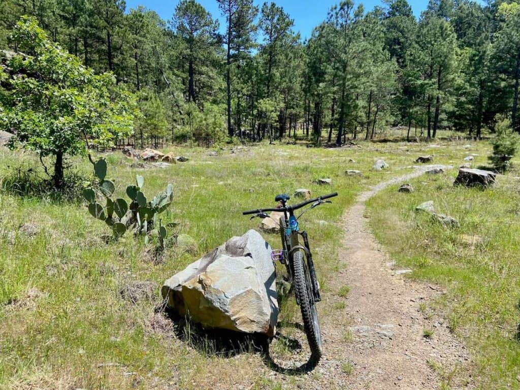 Mountain bike leaning against a rock beside trail through a meadow in Pinnacle Mountain State Park in Arkansas