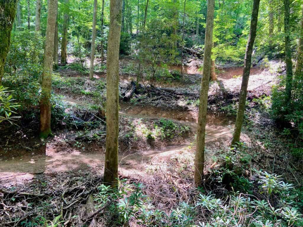 Switchbacked mountain bike trails up a hill at Gateway Trails in Old Fort, North Carolina