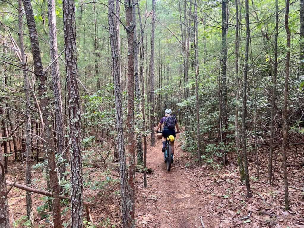 Bikepacking riding on trail through the woods in North Carolina on the Wilson's Ramble route