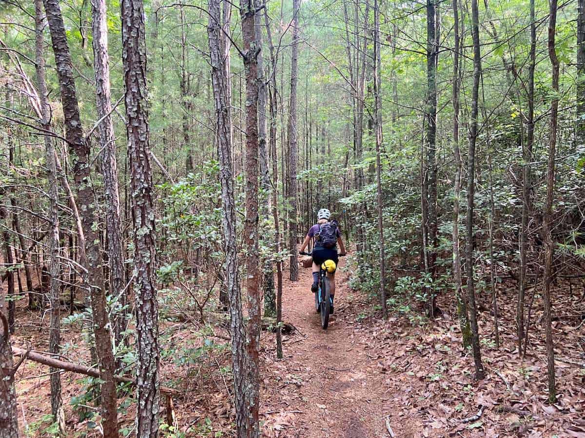 Bikepacking riding on trail through the woods in North Carolina on the Wilson's Ramble route