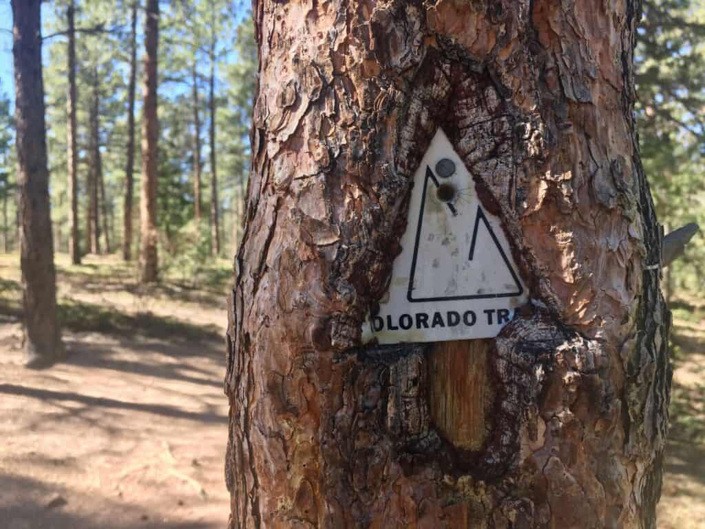 Tree with Colorado Trail sign embedded in bark