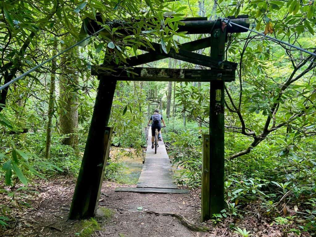 Mountain biker riding bike over suspension bridge in lush forest in Pisgah National Forest