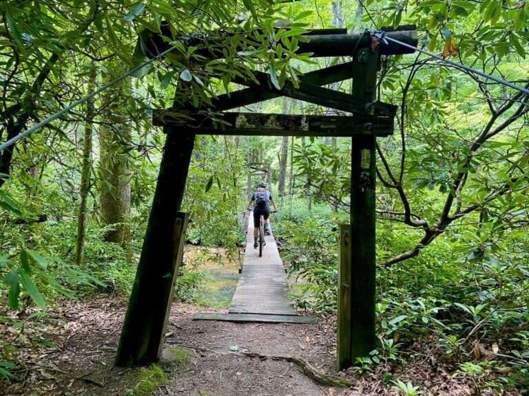 Asheville Mountain Biking: 12 Best Places to Ride in Western North Carolina